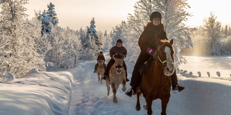 Horseback riding - Horseback riding winter adventure in Norway - Myhre Gård